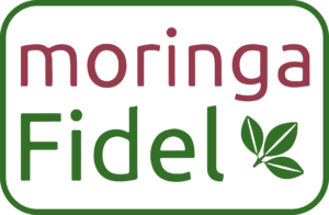 Moringa Fidel